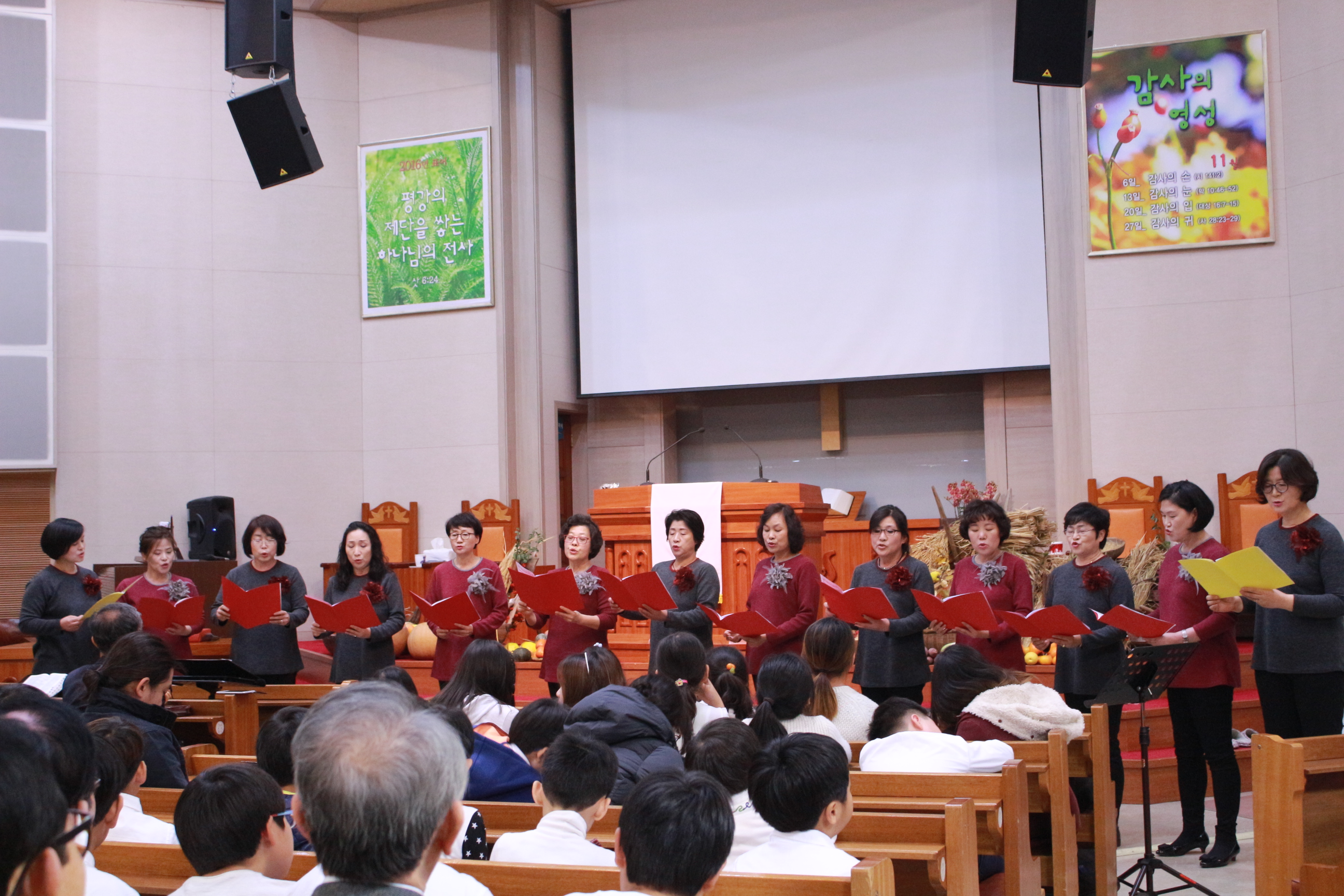 IMG_8382.JPG